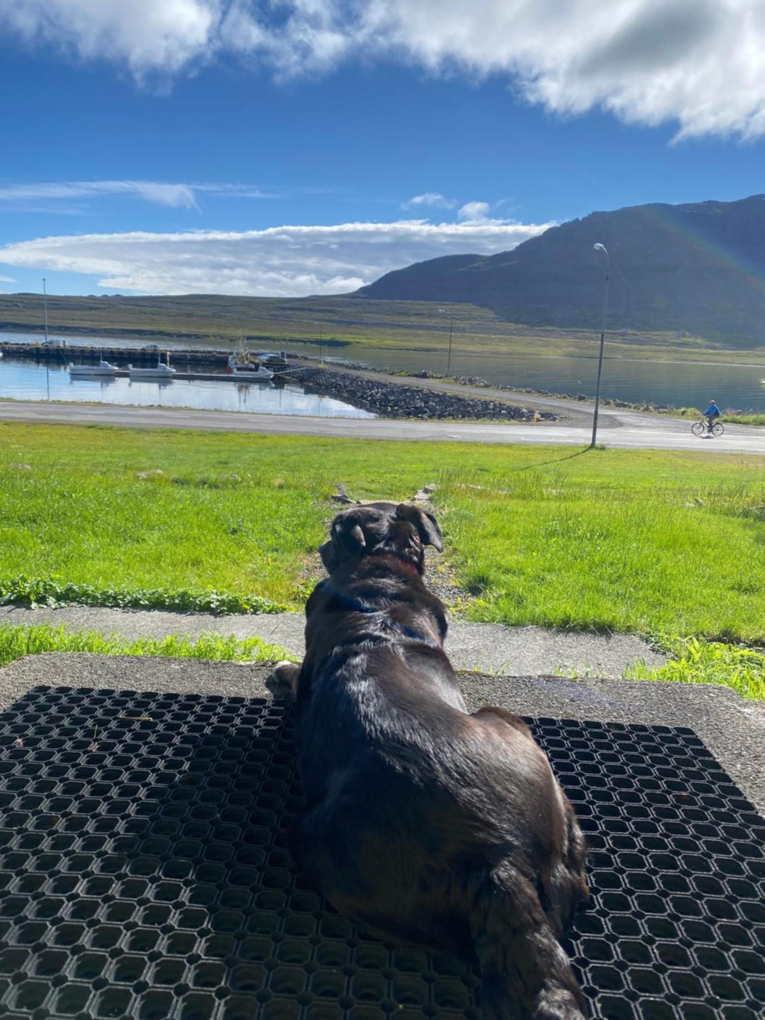 Sea, Fjord & Mountain View House Suthavik
